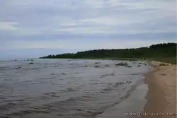 Берег Ладожского озера около Приозерска
