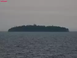 Остров в Онеге