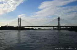 Нева, Вантовый мост