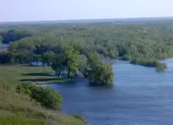 На высоком берегу реки Дон