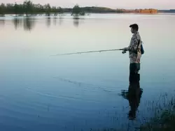 Рыбалка на Дону