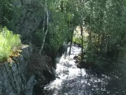 Лесной ручей в районе поселка Надвоицы
