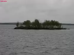 Выгозеро, островок
