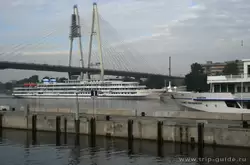 Теплоход «Александр Суворов» проходит под вантовым мостом в Санкт-Петербурге