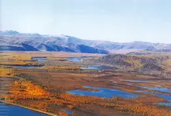 Вид на долину реки Лены с вертолёта