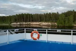 Лес на берегу реки Свирь и спасательный круг теплохода «Волга Стар»